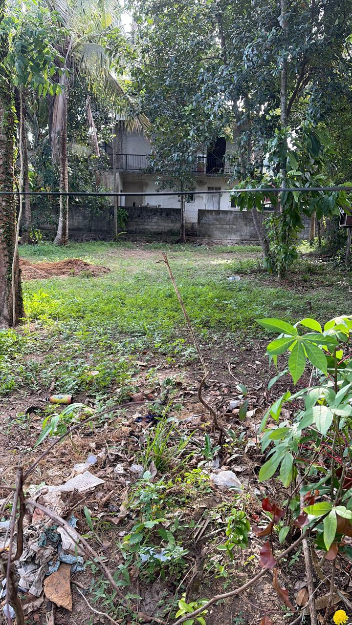 පානදූර, දිබ්බැද්දෙන් වටිනා ඉඩම් කොටස් විකිණීමට ඇත!