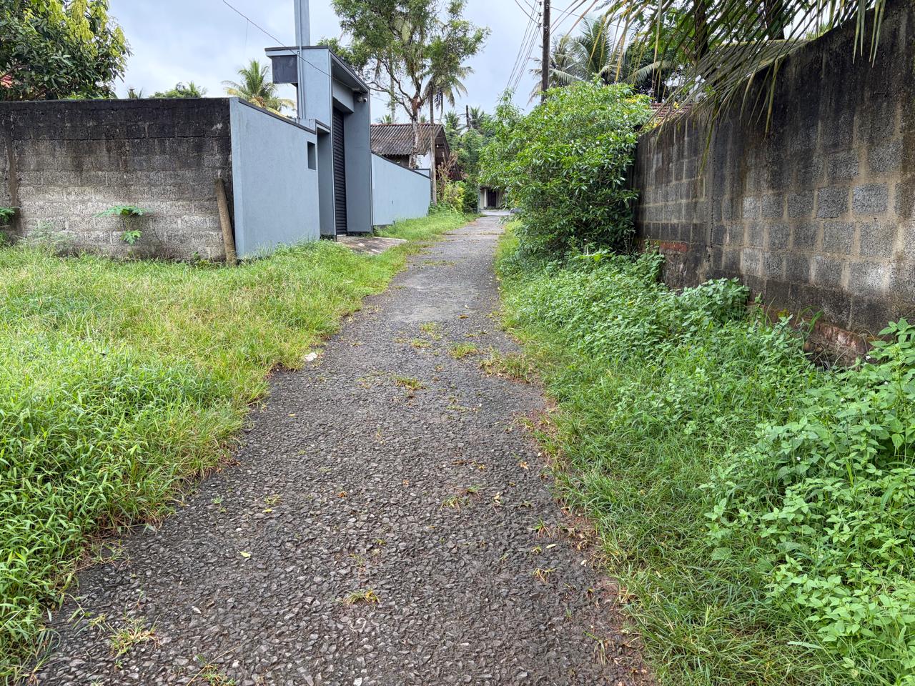 🏠 බණ්ඩාරගම ලීඩ්ස් පාසලට මීටර් 500යි: COC සහිත පර්චස් 12.9ක අගනා නේවාසික ඉඩමක් වහාම විකිණීමට! 🏠