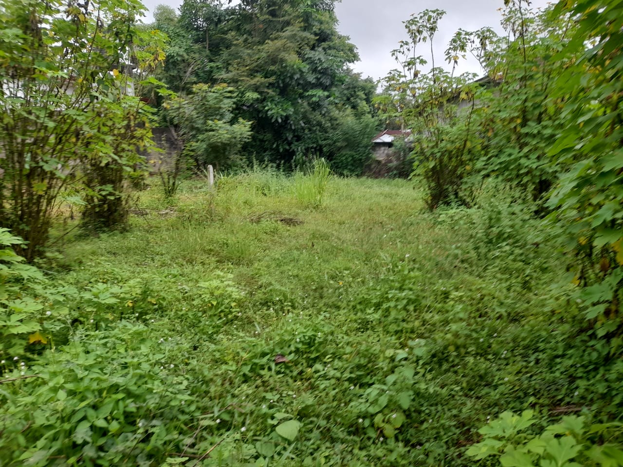 🏠✨ මොරන්තුඩුව පාරේ මාවල හන්දියේ  අගනා ඉඩම වහාම විකිණීමට!🏡✨