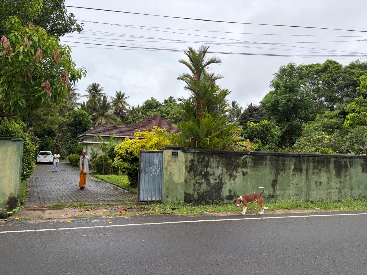 🏡 පානදුරෙන් ලයිසියම් පාසල අසල, ගඟට මායිම් වූ වටිනා ඉඩමක් විකිණීමට ඇත 🏡