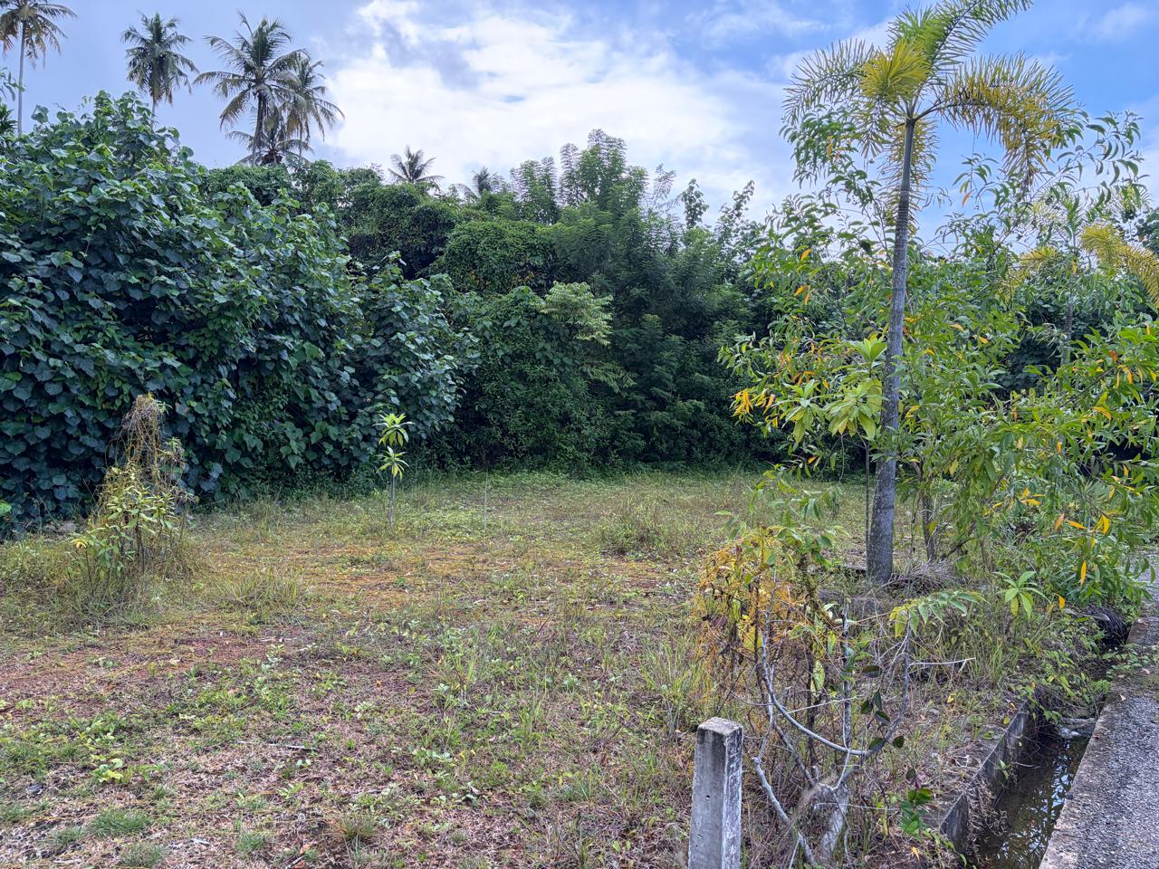 🏡 කළුතර නගරයටම ආසන්නයෙන් (800m) අගනා නේවාසික ඉඩමක් වහාම විකිණීමට ඇත 📌