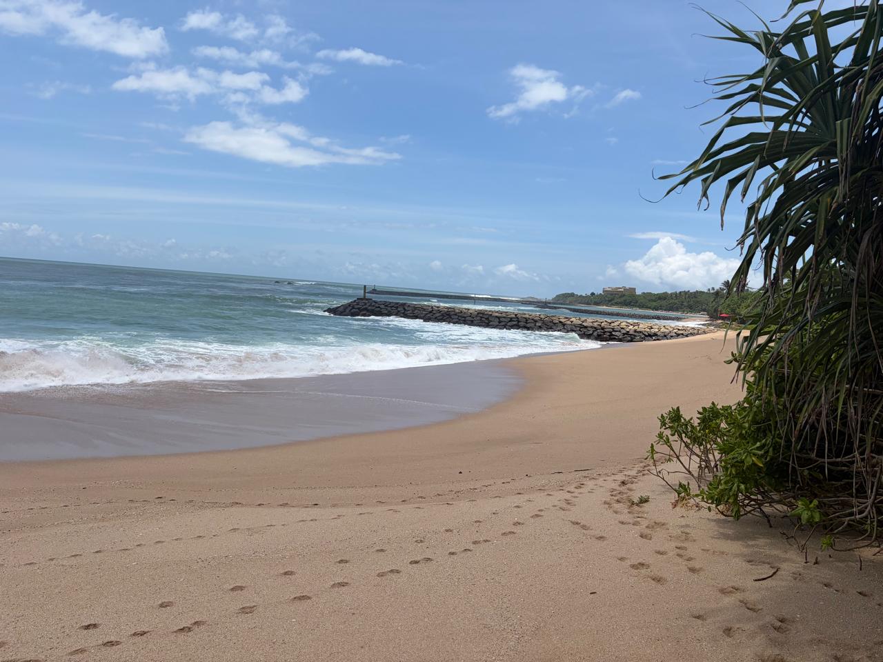 තංගල්ල සුන්දර වෙරළ තීරයටම මායිම්ව මහා පරිමාණ වාණිජ ව්‍යාපාරයකට කදිම සුපිරි අක්කර 7.5 ක ඉඩමක් වහාම විකිණීමට! 🌊🏖️🐋