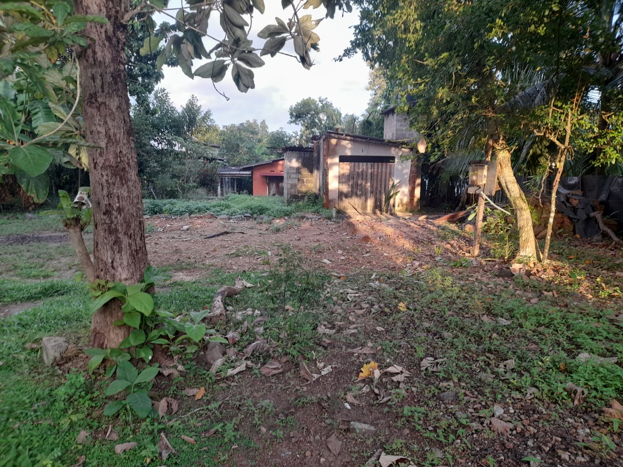🏡 පානදුර, කිරි බේරිය පාරට ආසන්නයෙන් පදිංචියට කදිම නිස්කලංක පර්චස් 15 ක සුපිරි නේවාසික ඉඩමක් වහාම විකිණීමට! 🌳✨