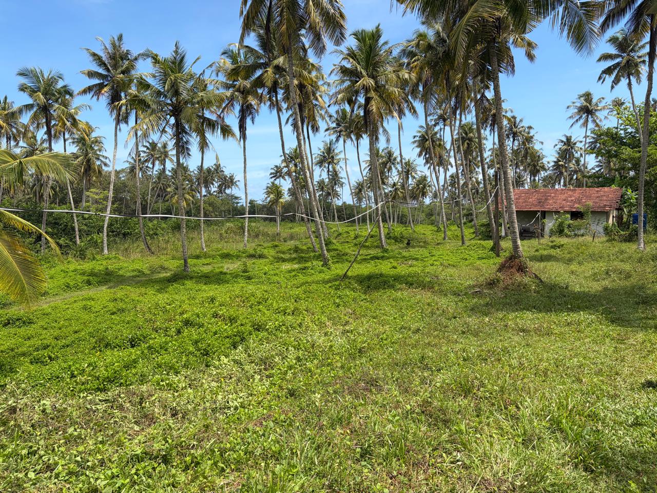 🚨 RESIDENTIAL LAND FOR SALE IN KALUTARA!! 🚨 කළුතර බණ්ඩාරගම පාරට මීටර් 300න් පර්චස් 12ක සුපිරි ඉඩමක් වහාම විකිණීමට! 🏡🌳