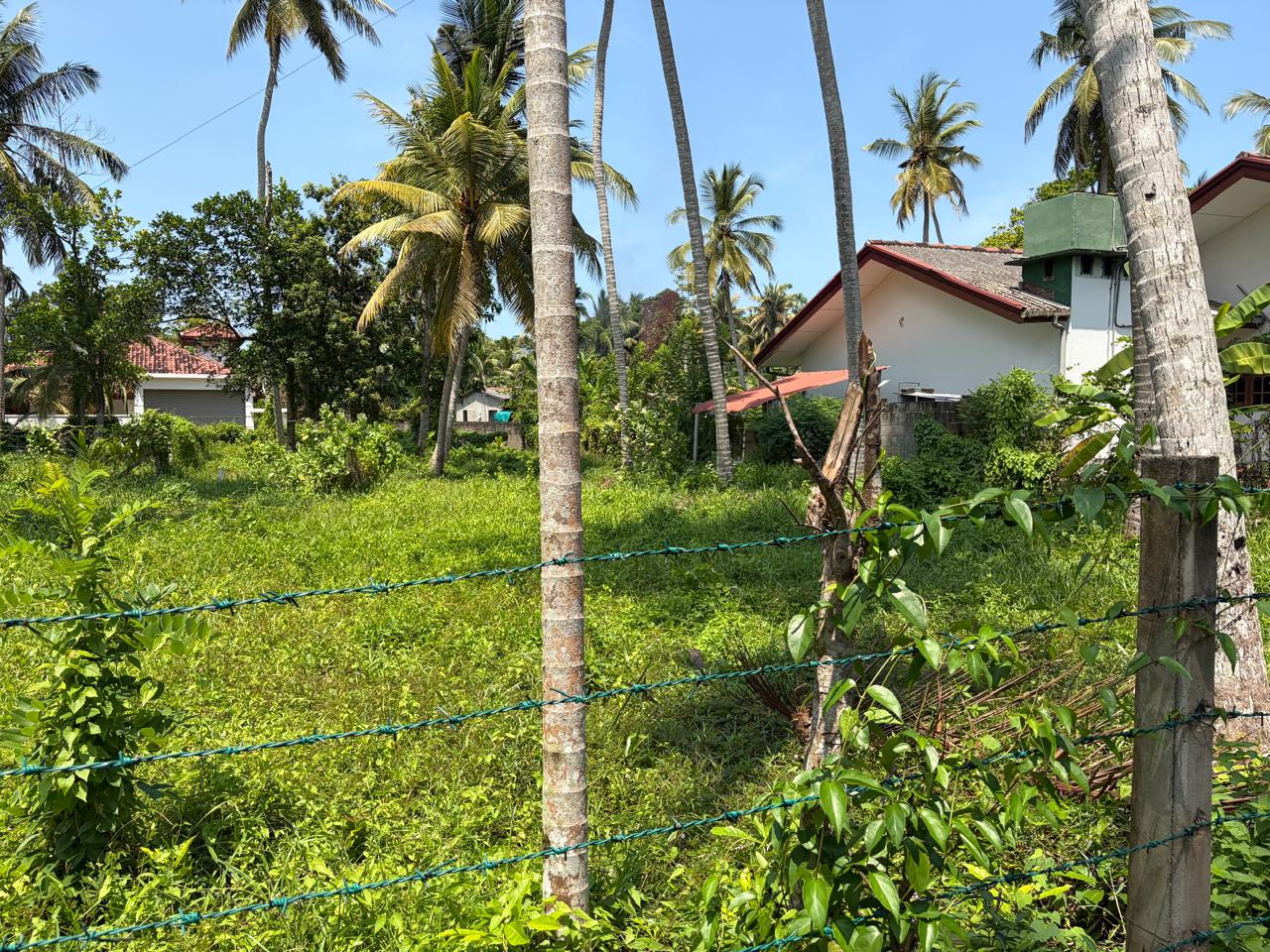 🏡 වාද්දුව, තල්පිටිය ගාලු පාරට ආසන්නයෙන් පදිංචියට කදිම පර්චස් 10 ක සුපිරි බිම් කොටස් 2ක් වහාම විකිණීමට! 🌳✨