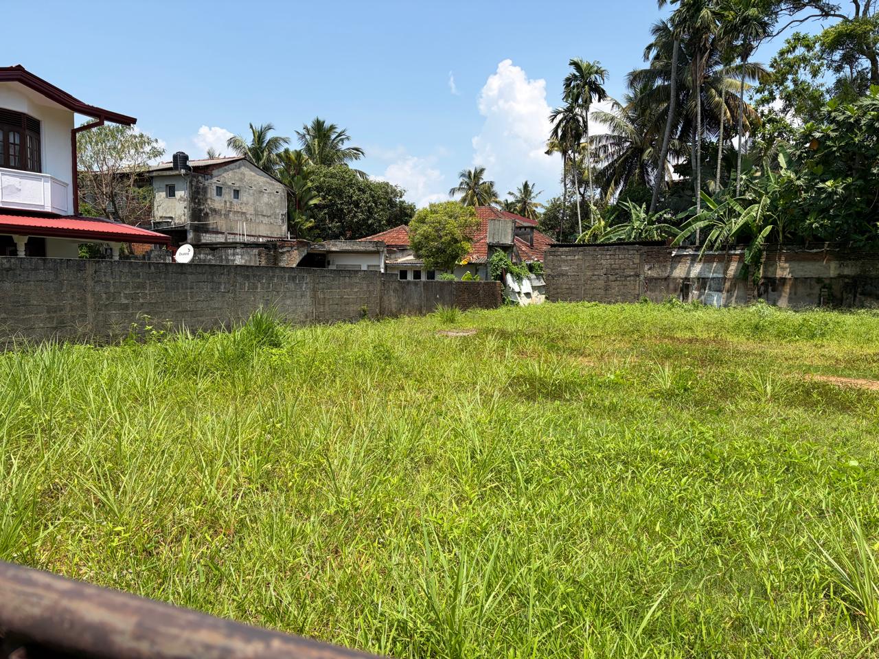 🏡 පාණදුර නගර සීමාවෙන් ගාලු පාරට ආසන්නව සුපිරි බිම් කොටසක් වහාම විකිණීමට ඇත! 🔥