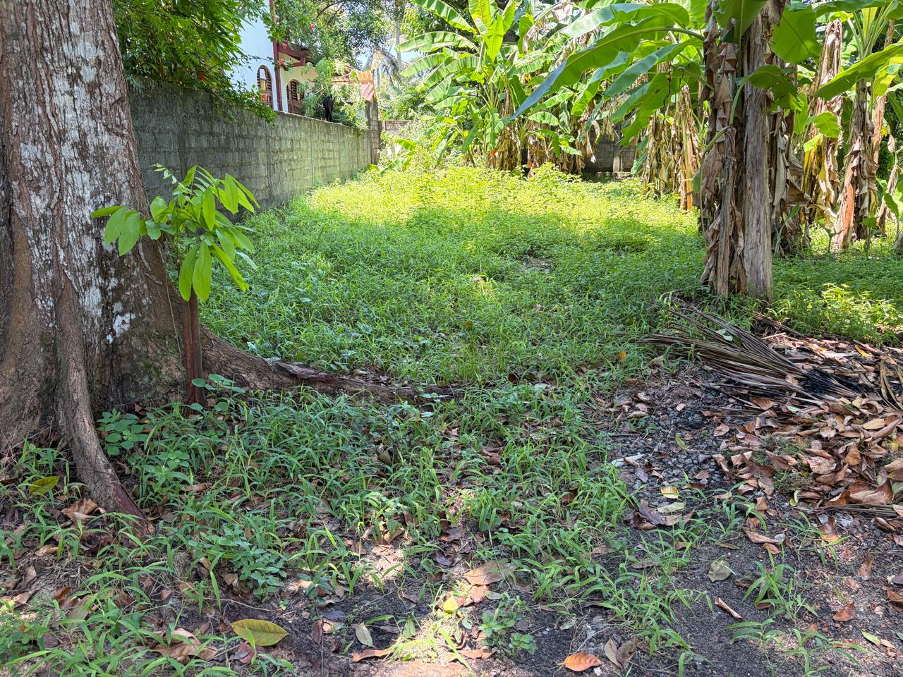 🏡 වාද්දුව නගරයට ආසන්නයෙන් සුපිරි නේවාසික බිම් කොටසක් වහාම විකිණීමට ඇත! 🔥